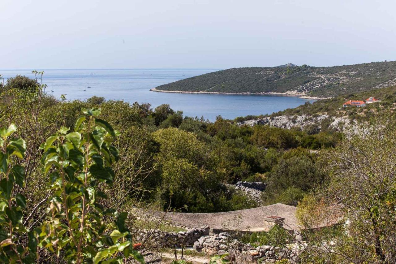 فيلا Kuca Ella Vinišće المظهر الخارجي الصورة